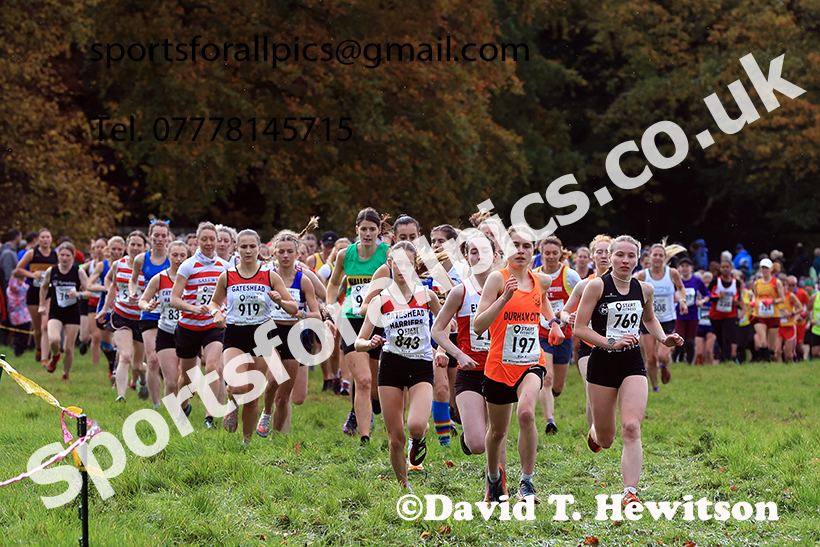 Senior women 2024 Start Fitness NEHL, Lambton Park, near Chester le Street, County Durham.   Photo: David T. Hewitson/Sports for All Pics